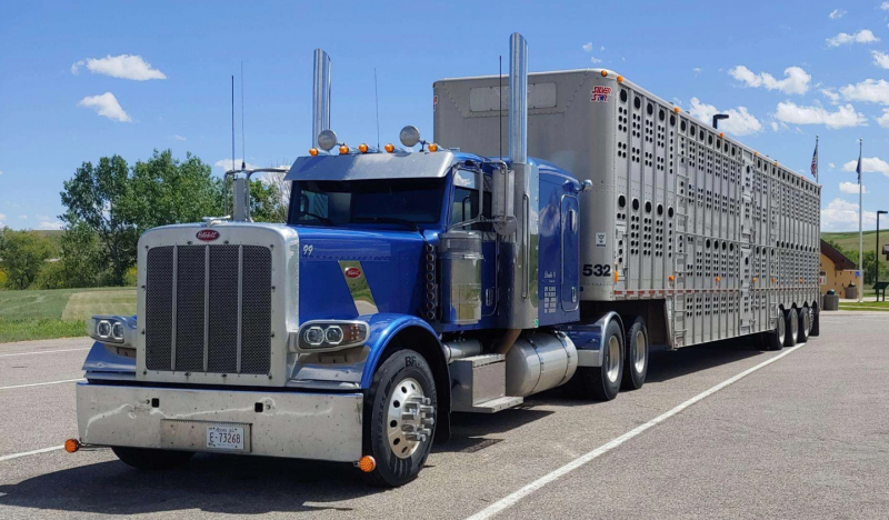 Peterbilt 389 Model Metal Kafa ve Kasa